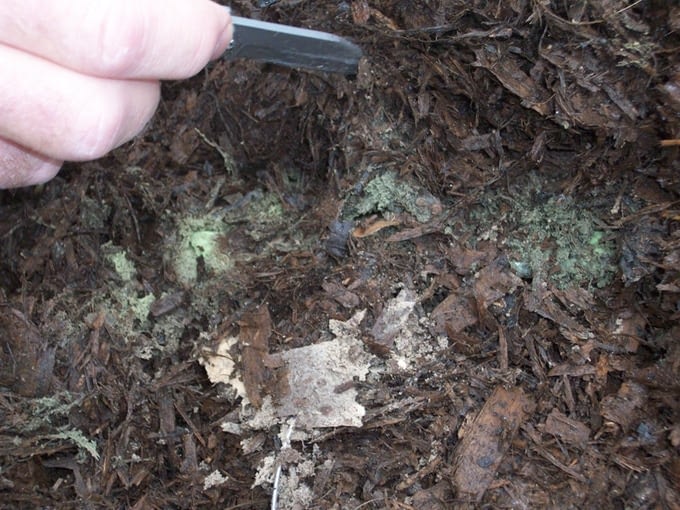 Compostable Filament after 18 months in home composting environment
